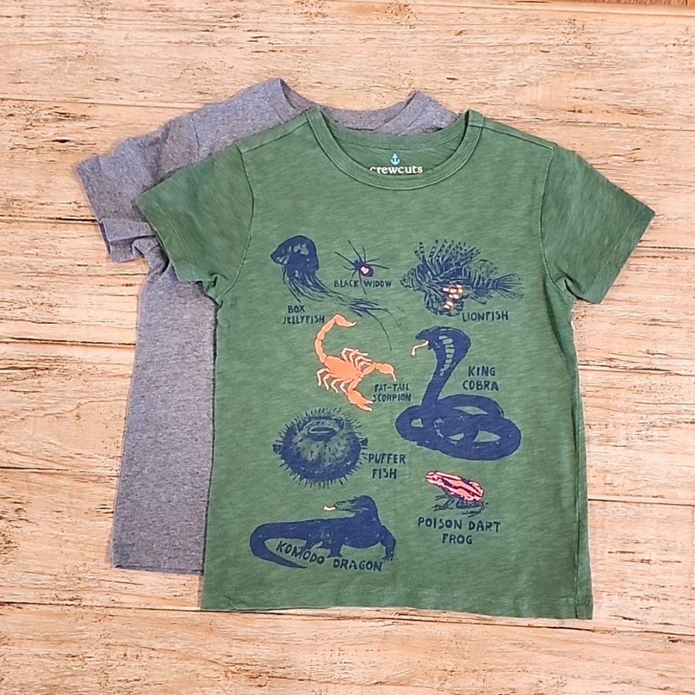Jcrew Boys Short sleeve Tshirts